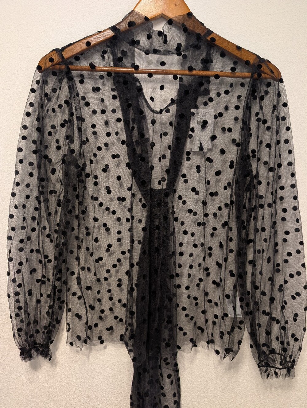 Banana Republic Black Sheer Polka Dot Tie-Neck Blouse